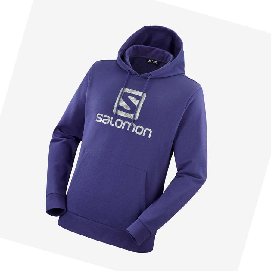 Sudadera Con Capucha Salomon OUTLIFE LOGO SUMMER Mujer Morados | MX 2538GSO